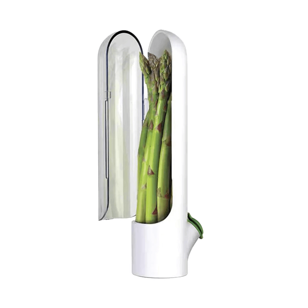 gid://shopify/MediaImage/28616299053146